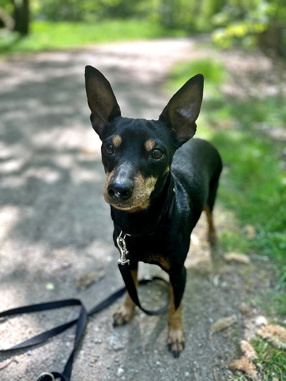 Foto von kleine süße Ada