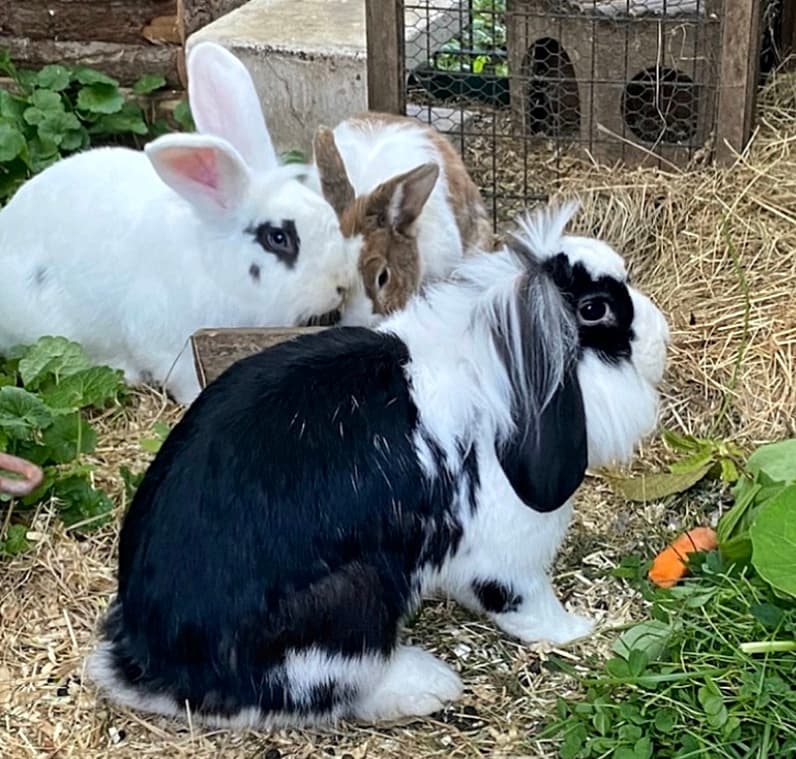 Arya und Rölfi haben es super getroffen