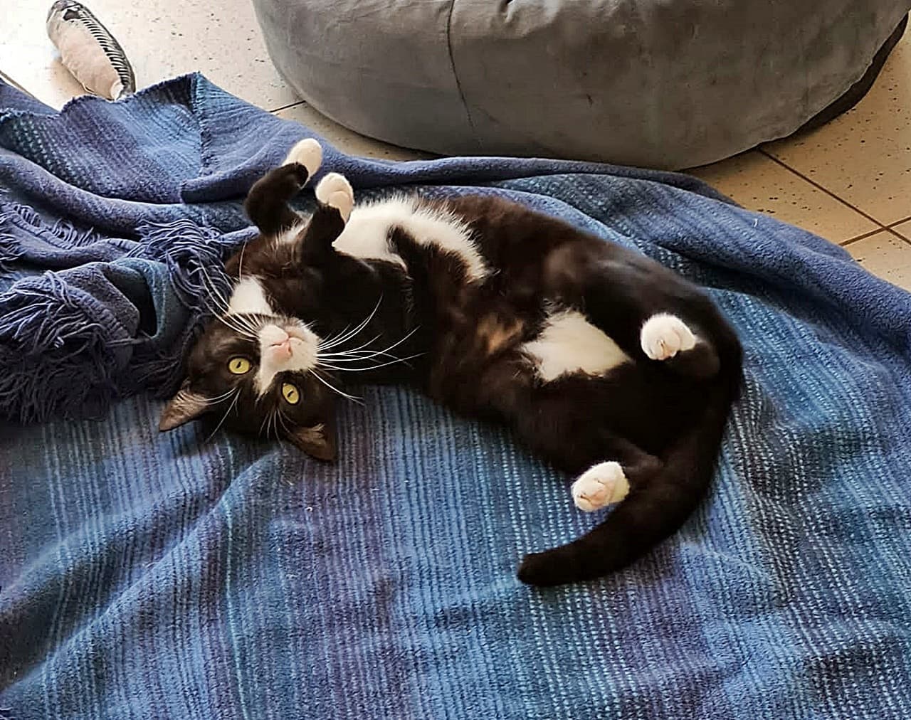 Foto von selbstbewusste Aurelia