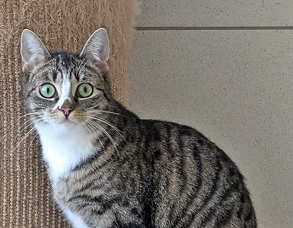 Foto von schüchterne liebe Bailey (mit Videos), gemeinsam mit Ted