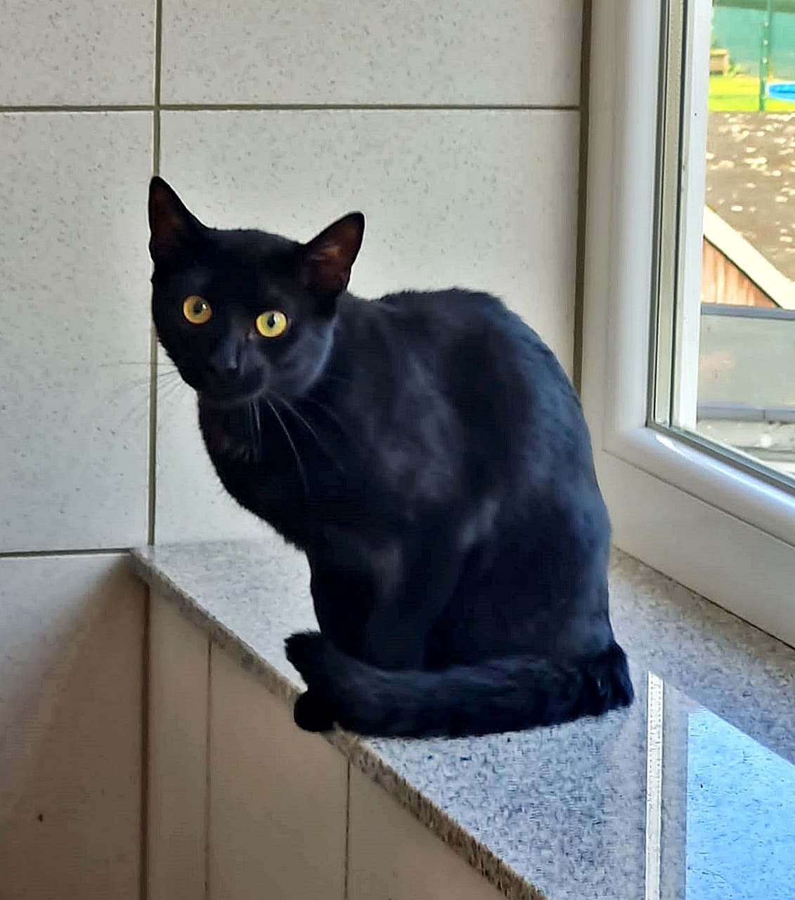 Foto von Batman hat Angst