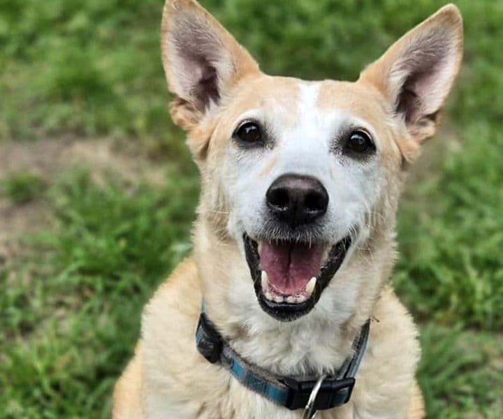 Foto von Fröhliche Bella (mit Video)