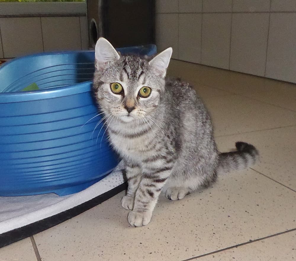 Foto von Bibi und Tina