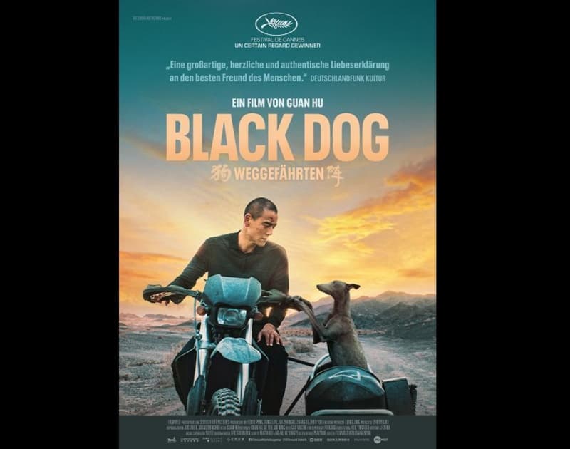 der besondere Film im Kinodrom: Black Dog