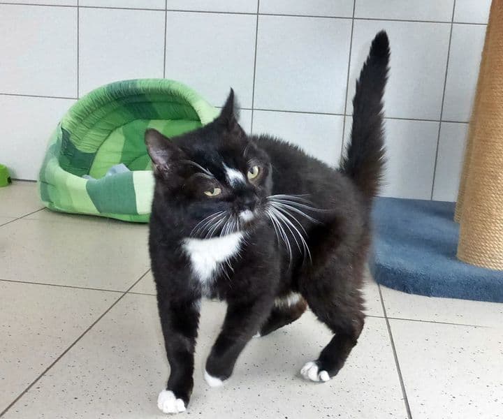 Foto von Böbbels, alt aber oho!