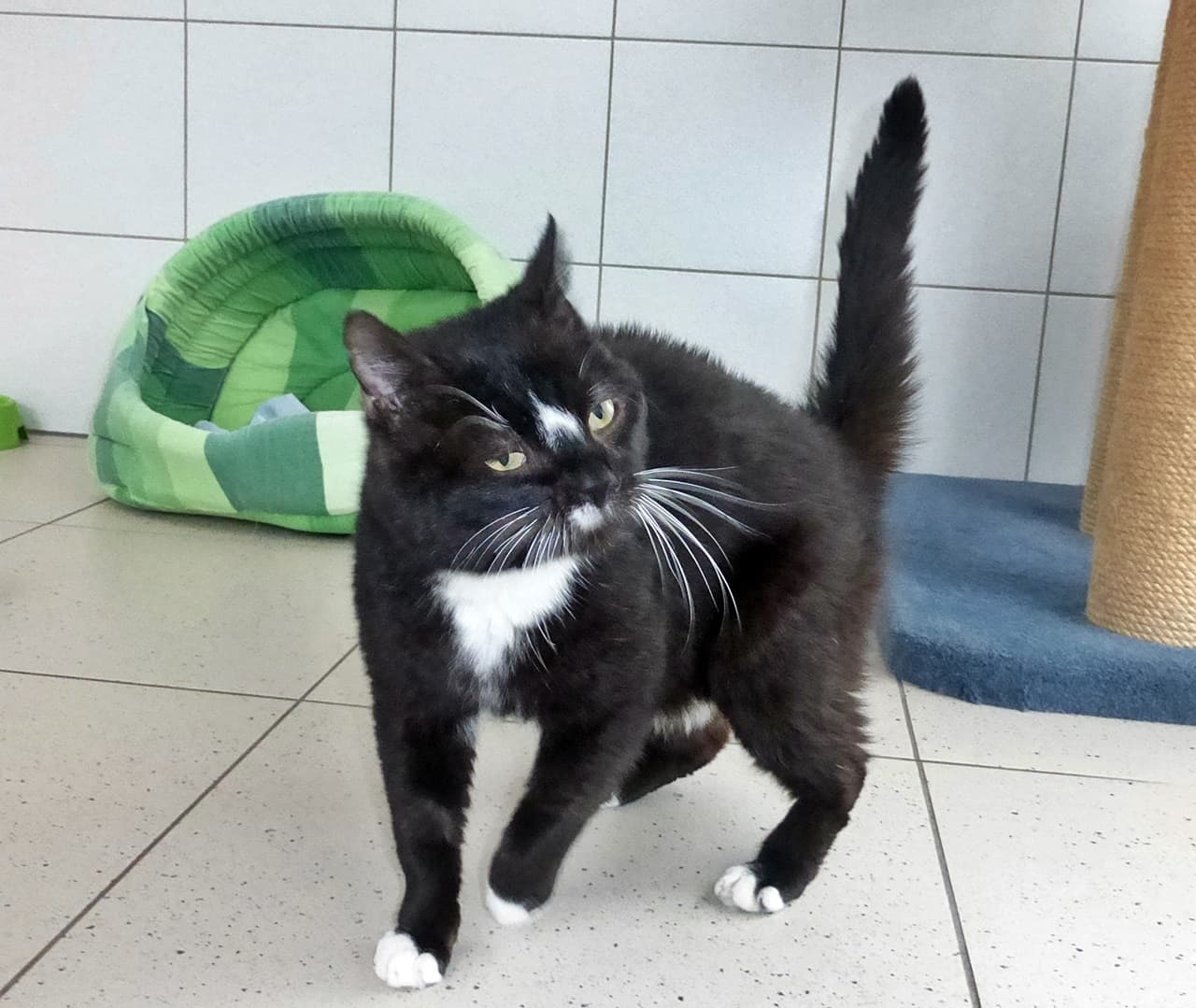 Foto von Böbbels, alt aber oho!