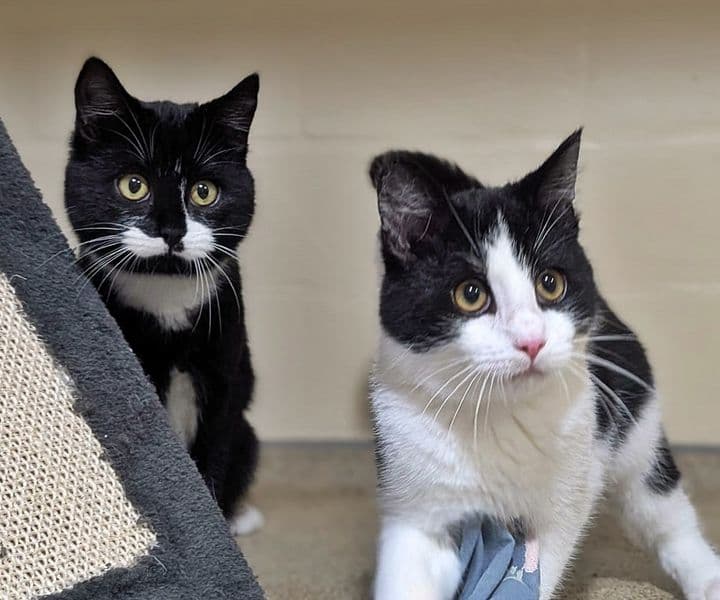 Foto von Butter und Frederik sind ein Team