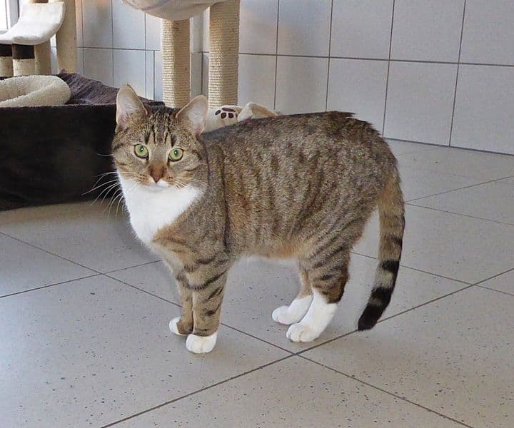 Foto von die schöne Charlotte