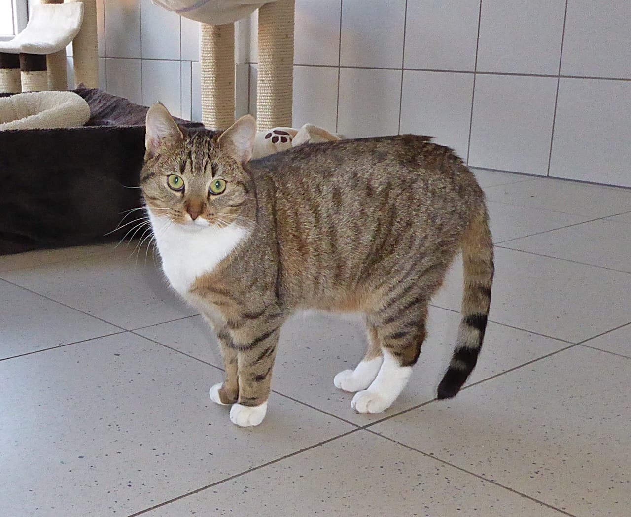 Foto von die schöne Charlotte