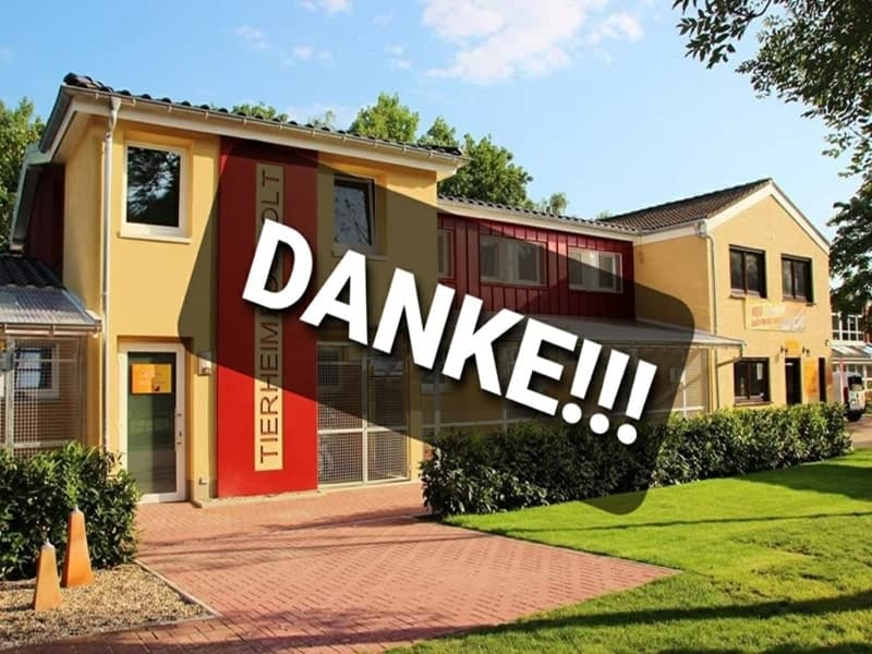 Spendenmarathon - wir sagen Danke!