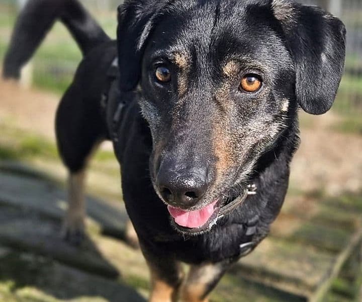 Foto von fröhlicher Eddie ist noch schüchtern (mit Video)