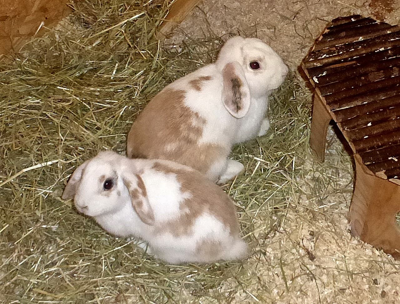 Foto von Wendy und Emmy