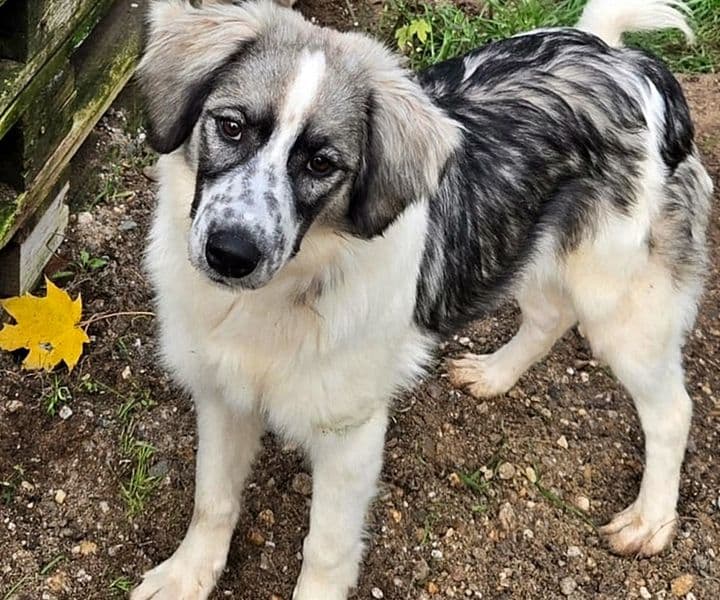 Foto von Enya - lieb und aufgeweckt