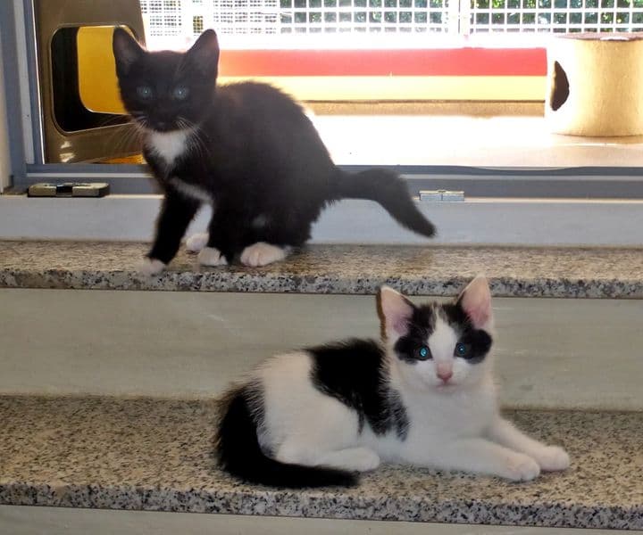 Foto von Ernie und Bert