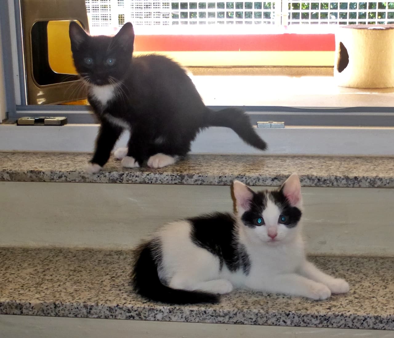 Foto von Ernie und Bert