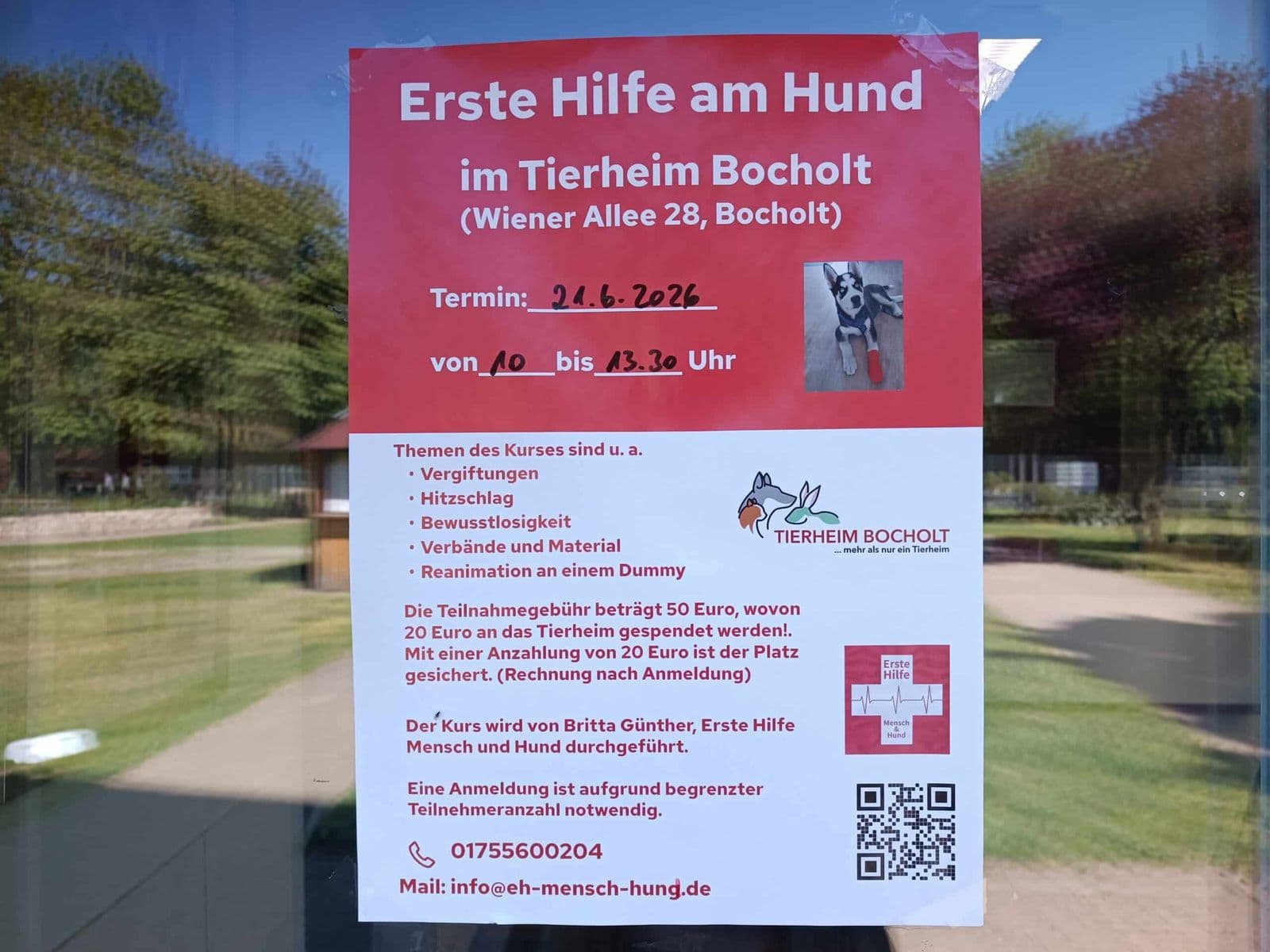 21. Juni: Erste-Hilfe-Kurs für Hunde