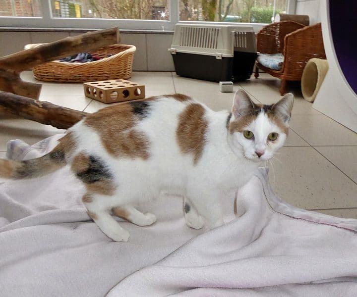 Foto von Evi und Malika