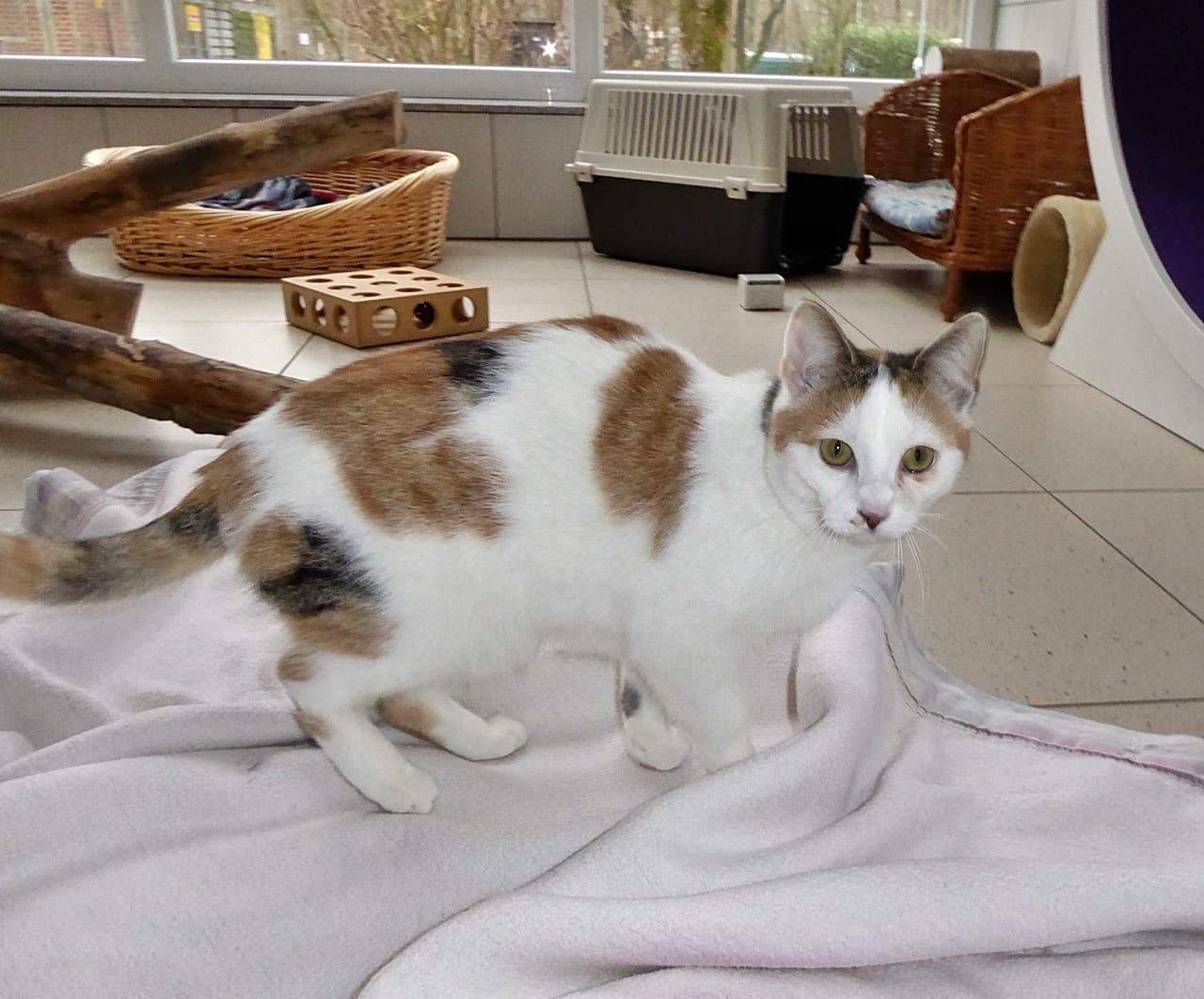 Foto von Evi und Malika