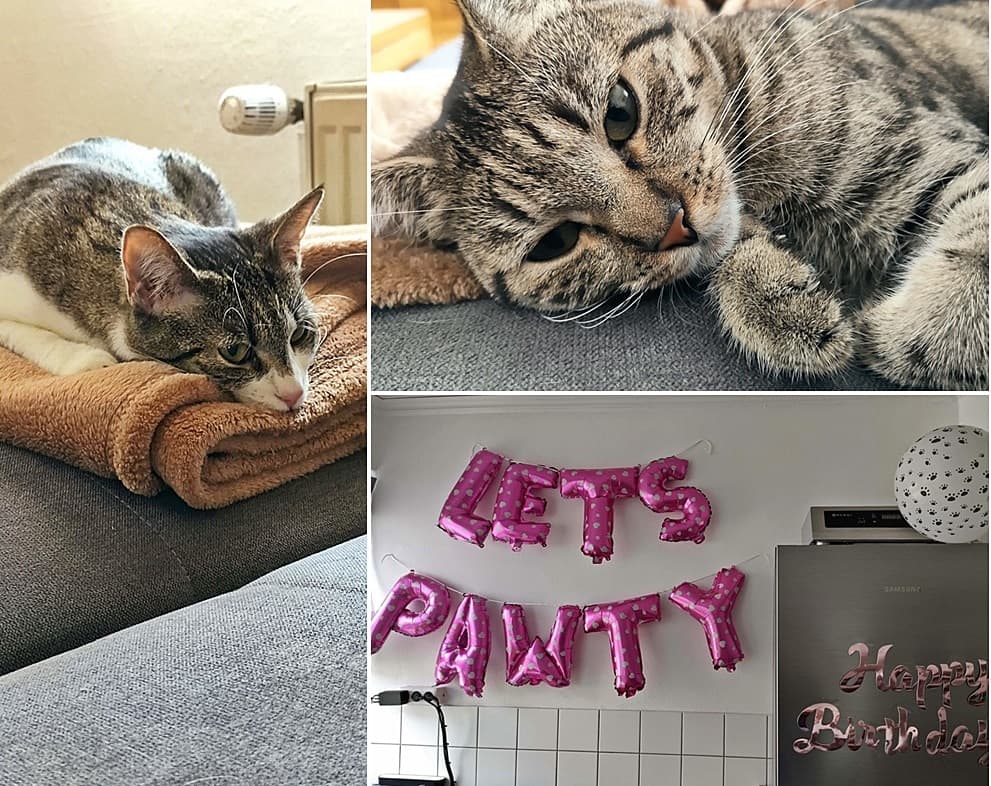 Falena und Fabia feiern Geburtstag