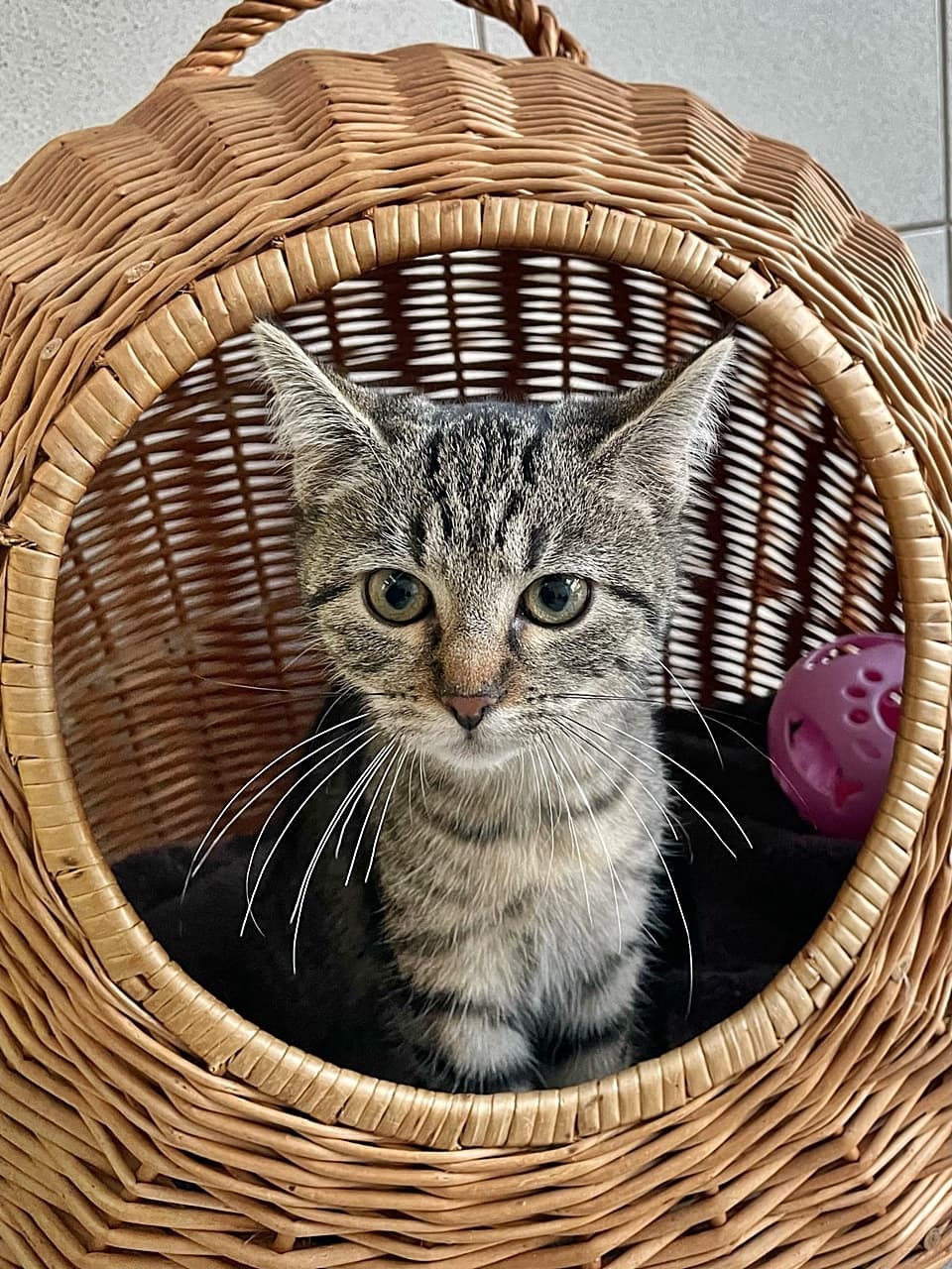 Foto von Falena und Finja