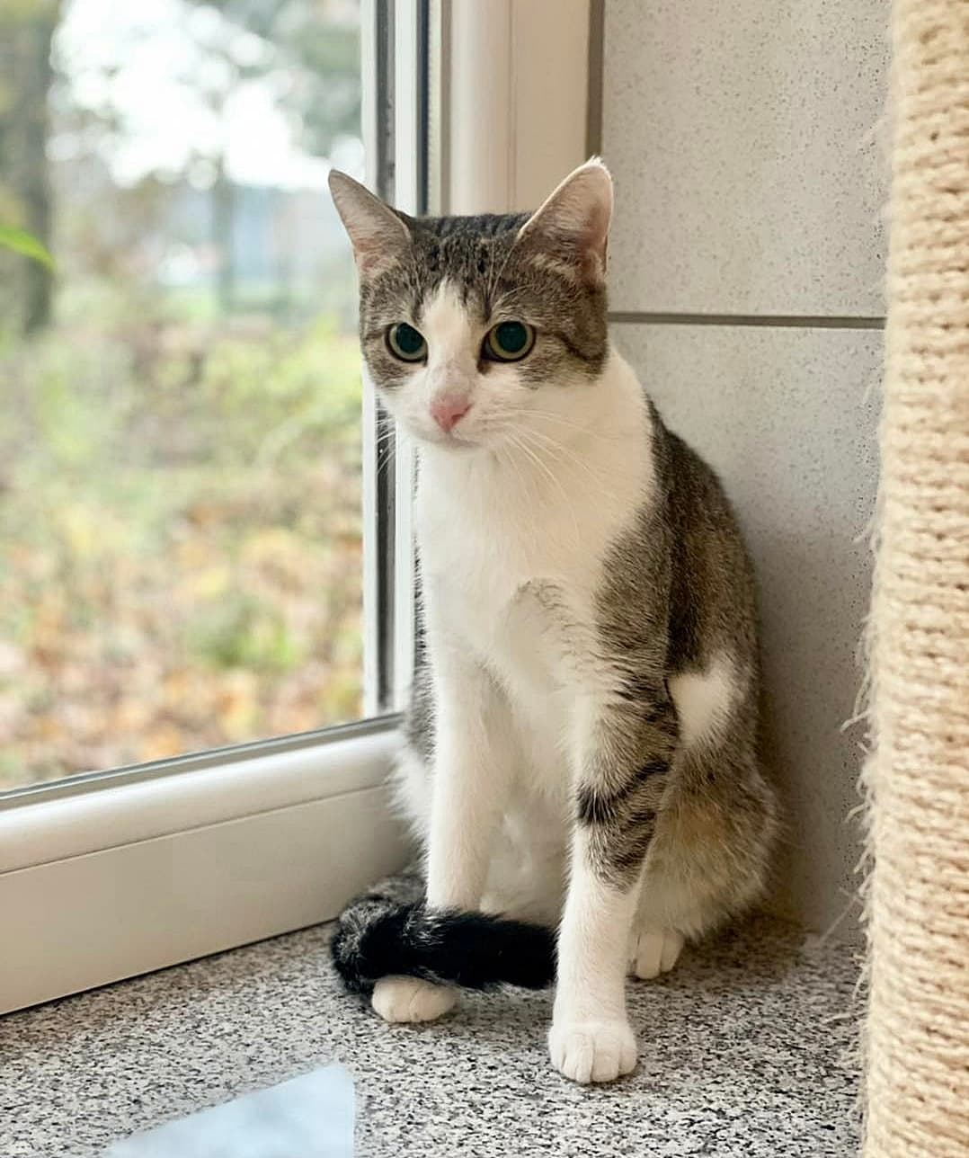 Foto von Felice