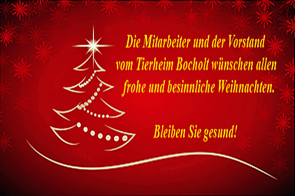 Frohe Weihnachten!