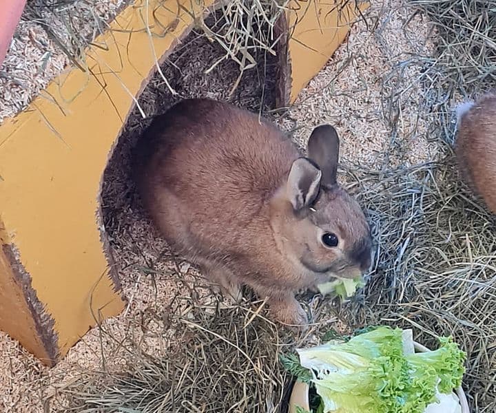 Foto von Mayas Tochter Happy
