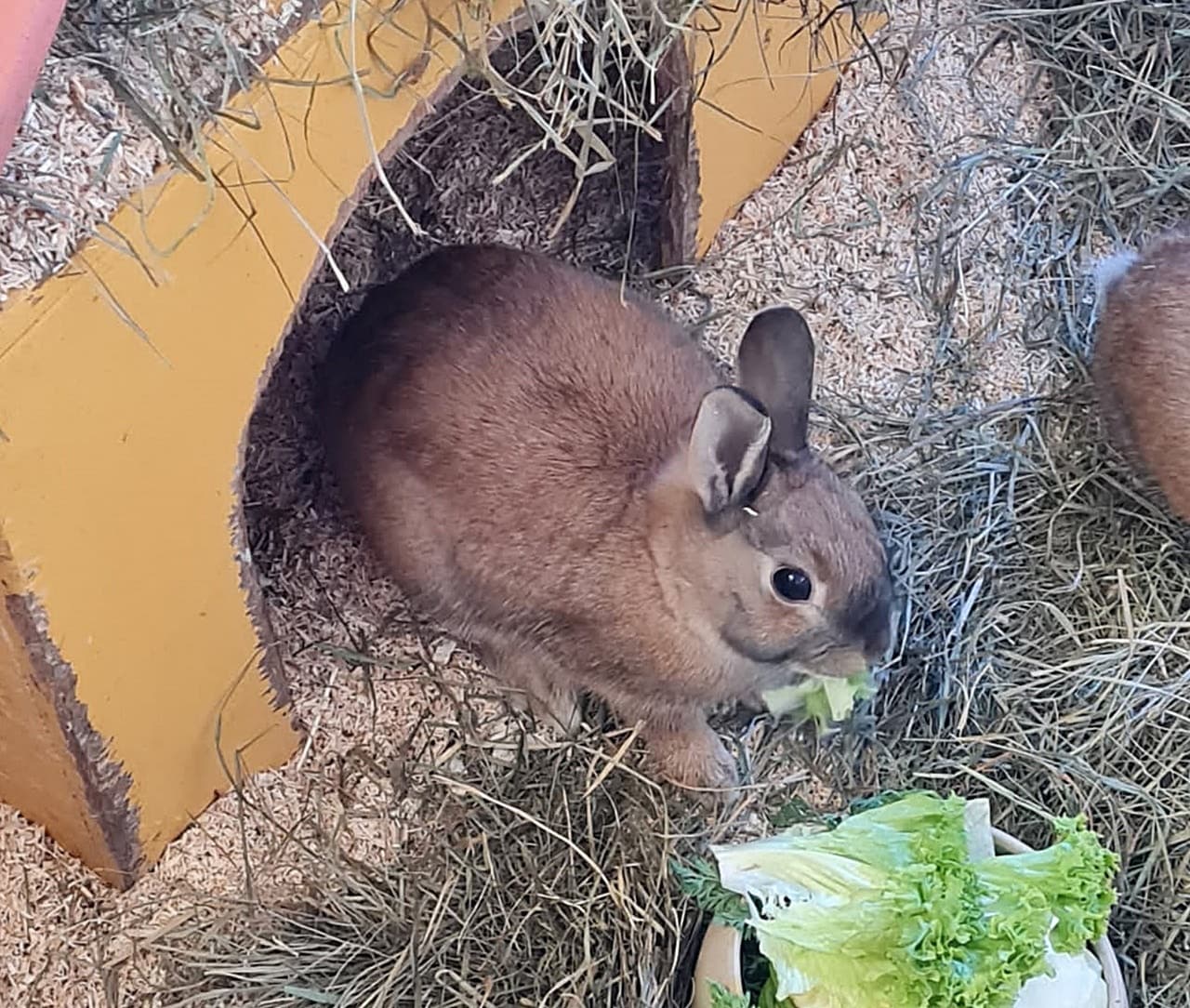 Foto von Mayas Tochter Happy