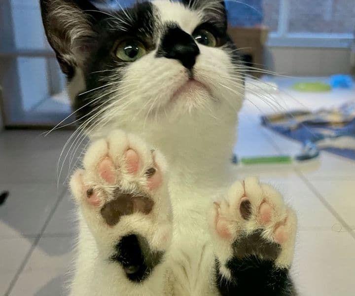Foto von super lieber Heiko