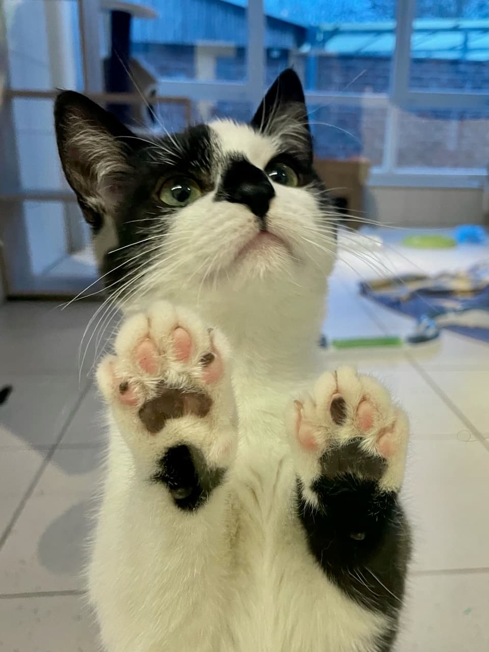 Foto von super lieber Heiko