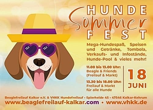 Wir sind zu Gast beim Hundesommerfest in Kalkar