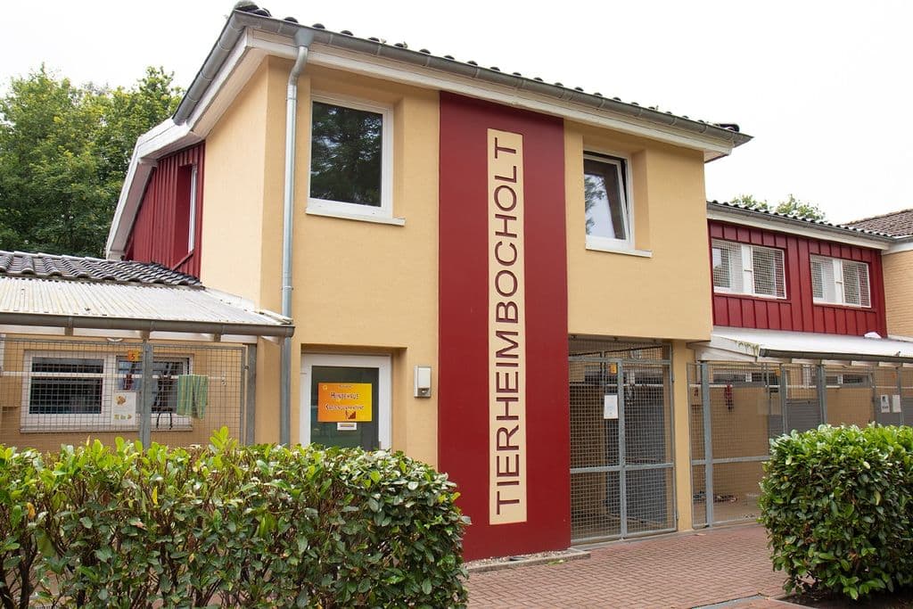 Wir bleiben weiterhin im Shutdown