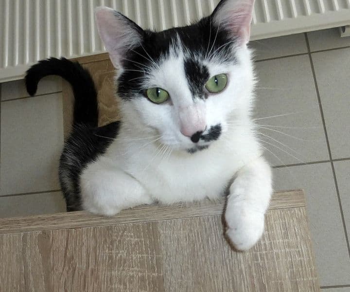 Foto von lieber verschmuster Julius