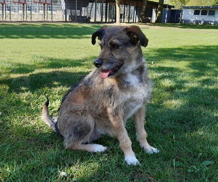 Foto von freundliche quirlige Leila