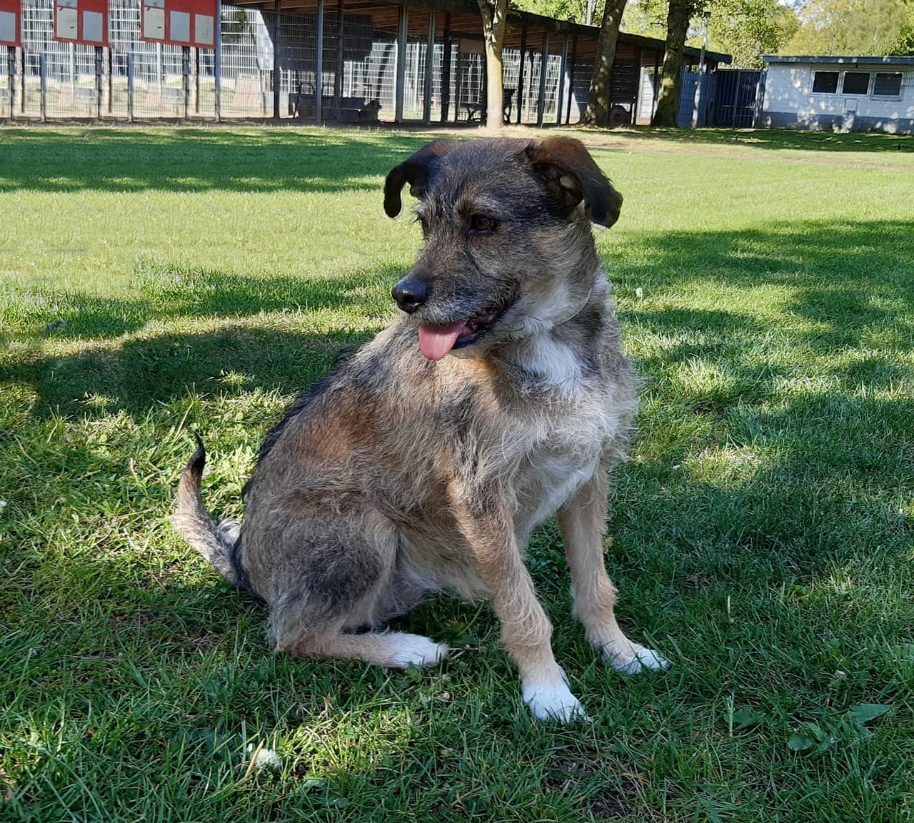 Foto von freundliche quirlige Leila
