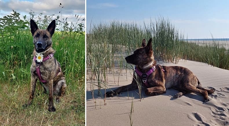 Lexi möchte mal wieder Grüße ausrichten