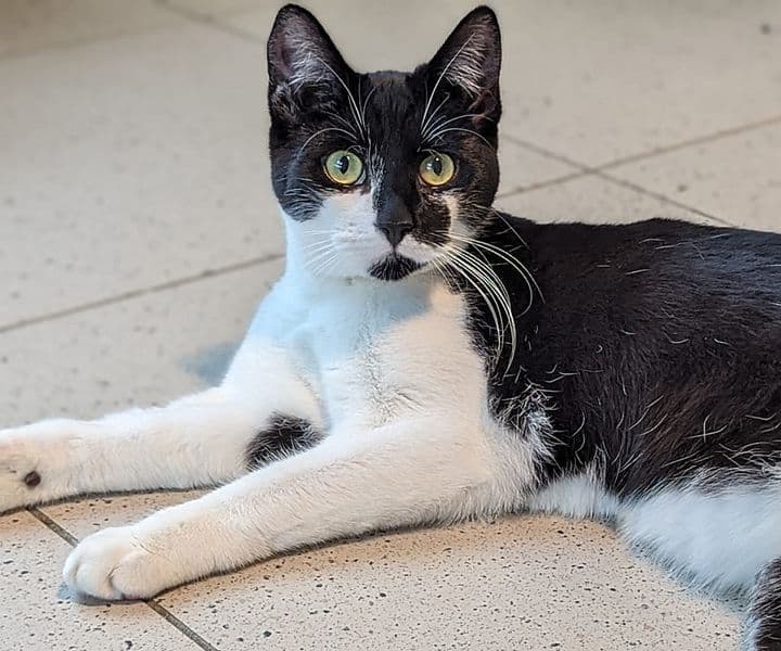Foto von liebe Klettermaus Leyla
