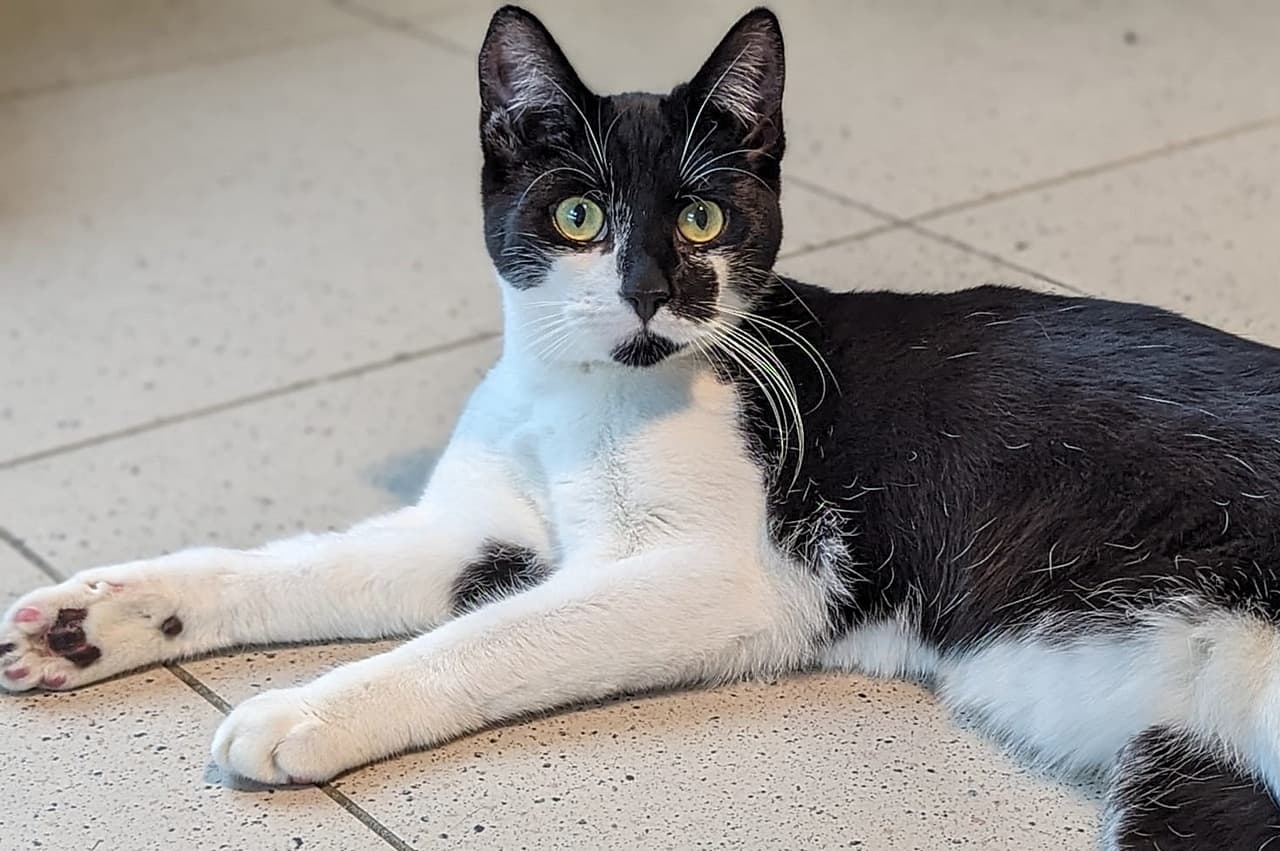 Foto von liebe Klettermaus Leyla