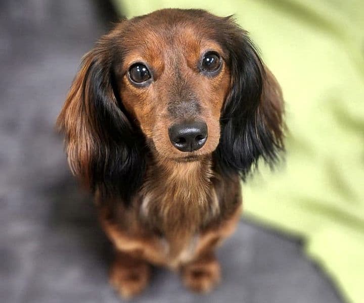 Foto von kleiner Wirbelwind Lilly
