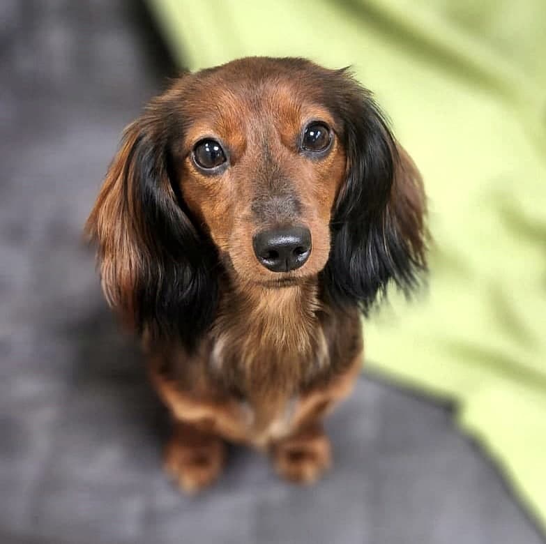 Foto von kleiner Wirbelwind Lilly