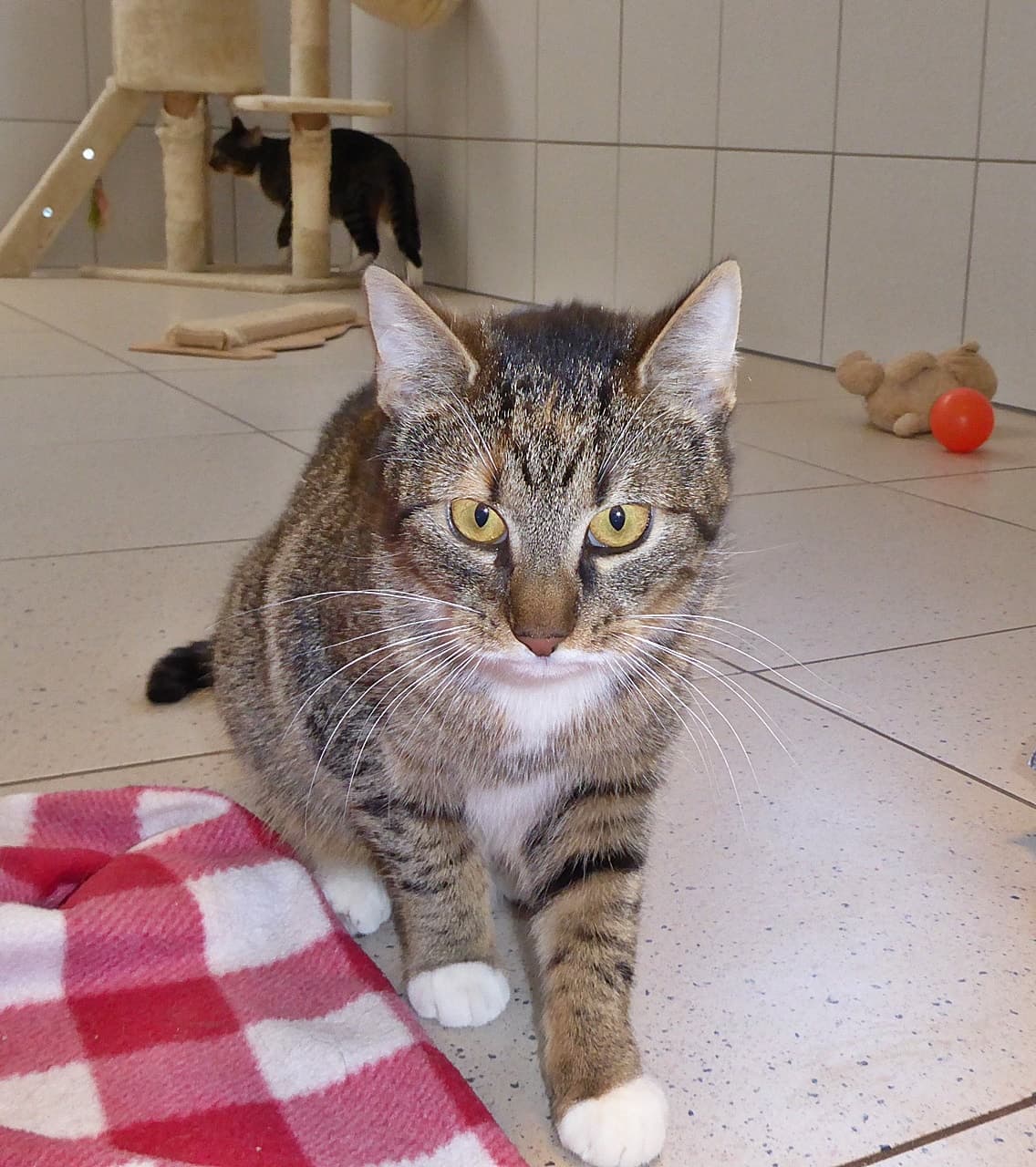 Foto von Lilly