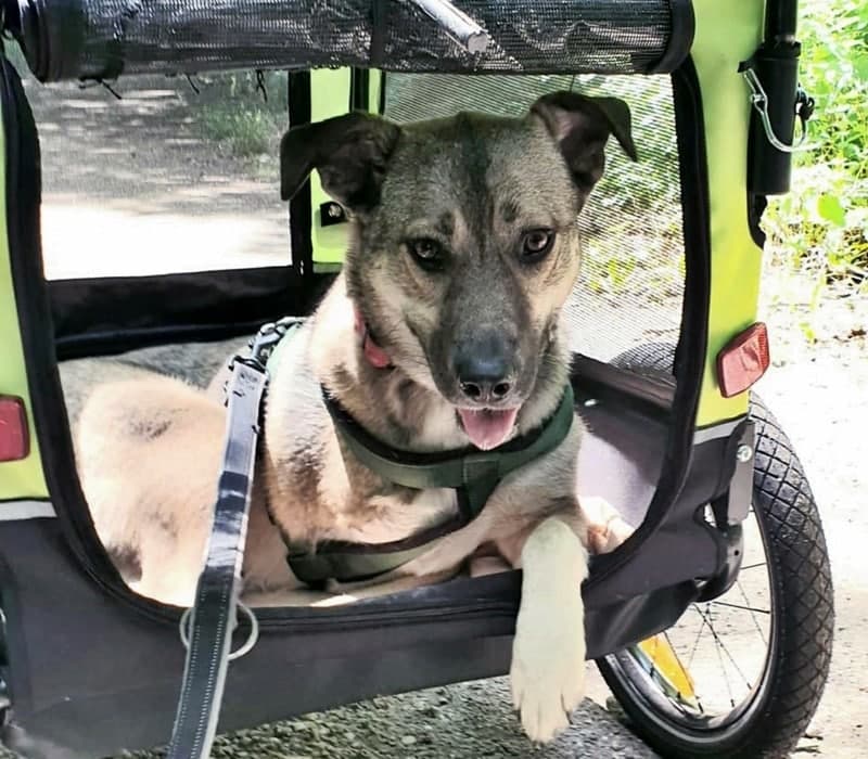 Lola hat das große Los gezogen :-)