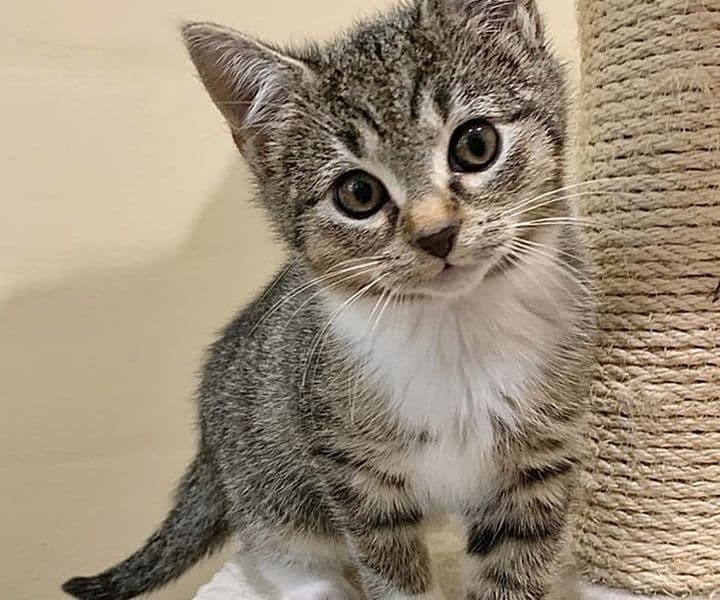 Foto von aufgeweckte kleine Lovis