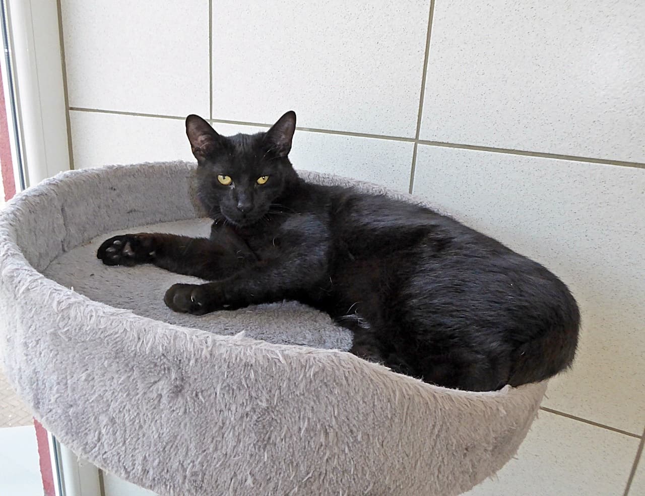 Foto von Marlon