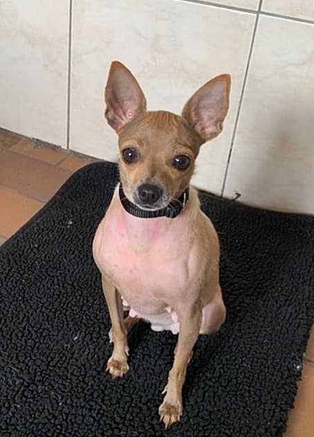 Foto von Die kleine Martha wünscht sich sehnlichst ein Zuhause