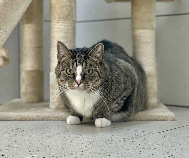 Foto von Mathilda