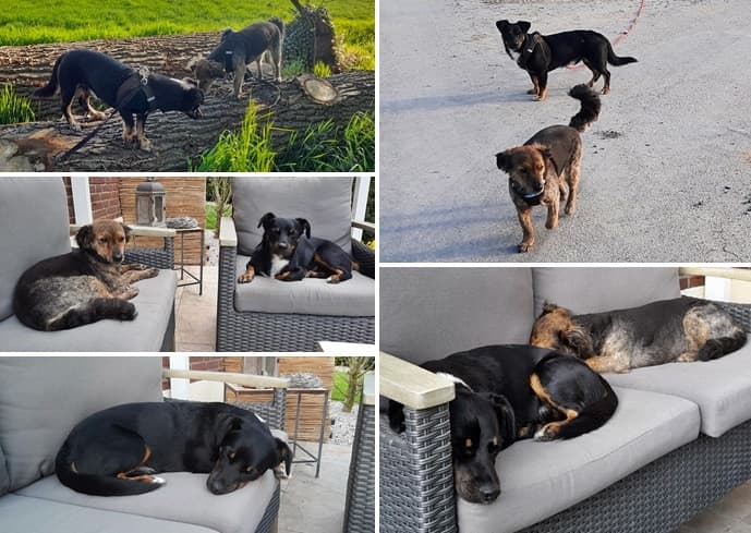 Der kleine Max lebt sich ein