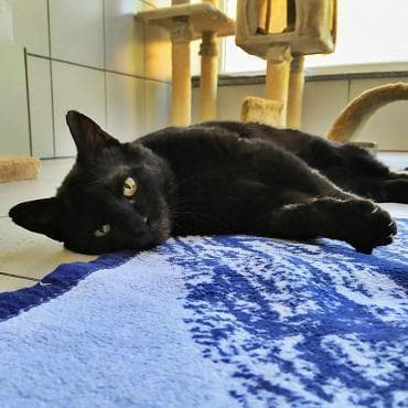 Foto von Molly