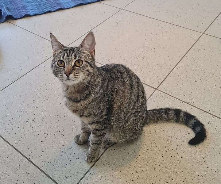 Foto von Freigeist Nena hat wunderschöne Augen