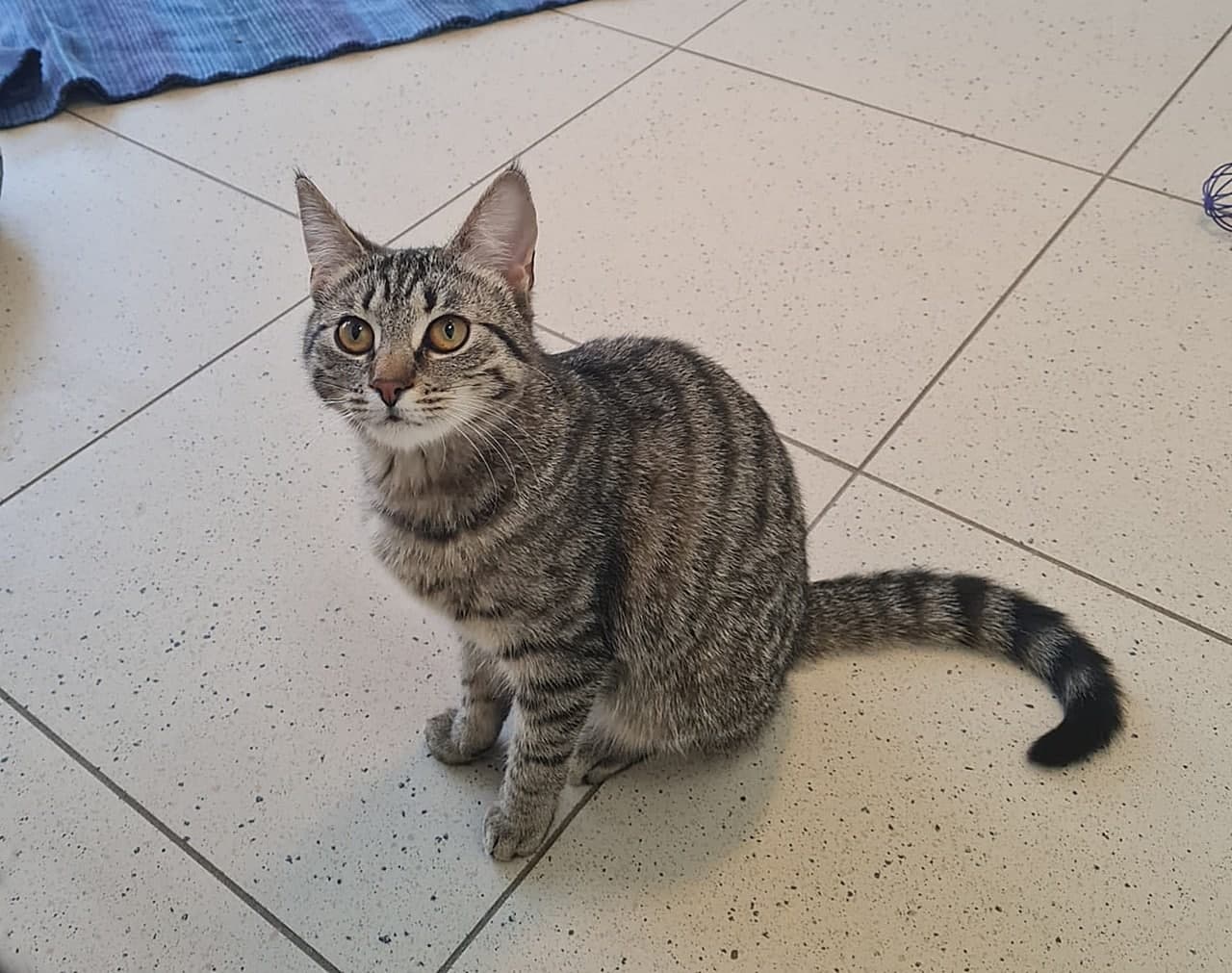 Foto von Freigeist Nena hat wunderschöne Augen